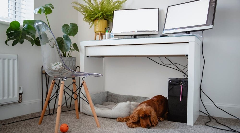 Does Working From Home Impact Employee Mental Health? – Knight Frank (UK)