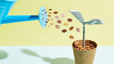 Incubators, Accelerators and Startups - A Guide