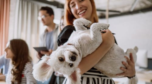 Dogs, Design Help, and Space to Take Zoom Calls: The Latest Office Demands from UK Businesses