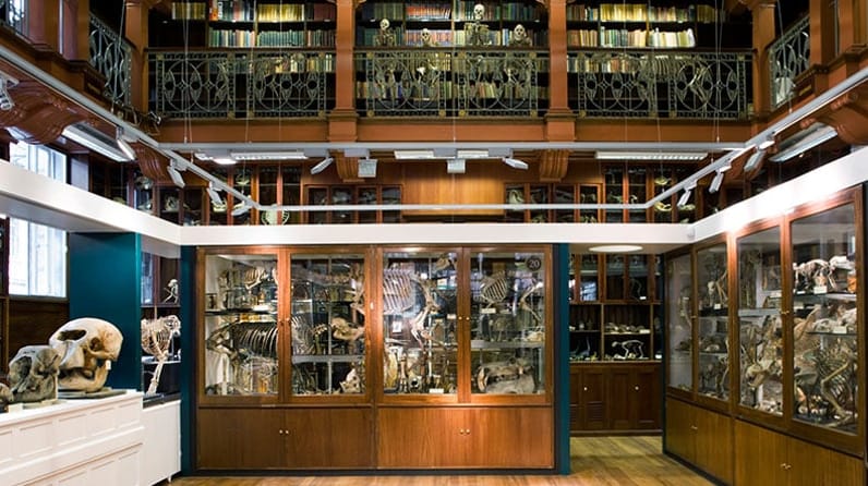 Grant Museum Bloomsbury
