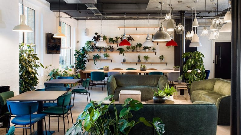 Uncommon islington