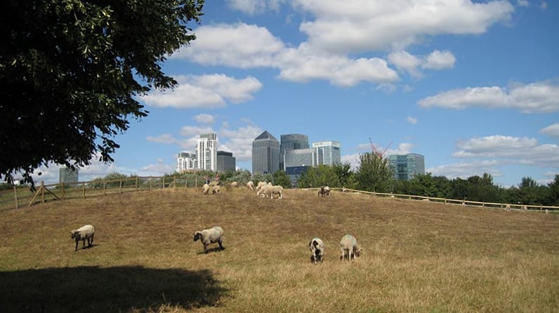 Mudchute Park
