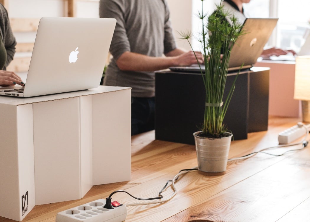 People using standing desks