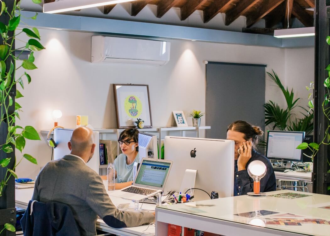 A team in a plant filled office