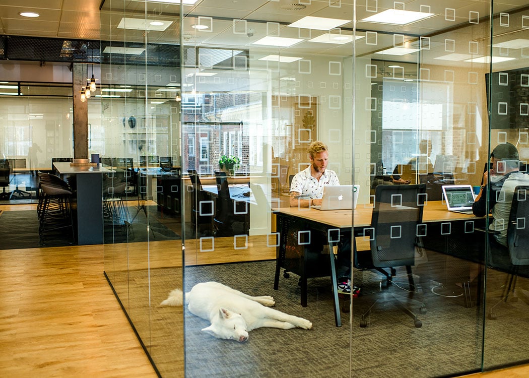 Central Working's 25 Eccleston Place