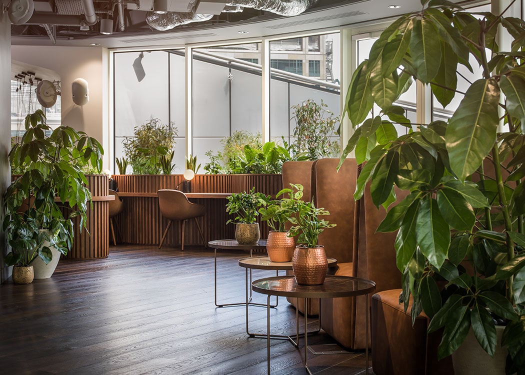 Uncommon, 34-37 Liverpool Street