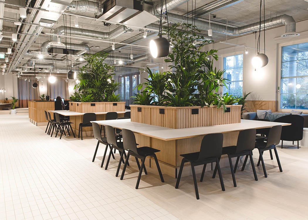 TOG's 84 eccleston square